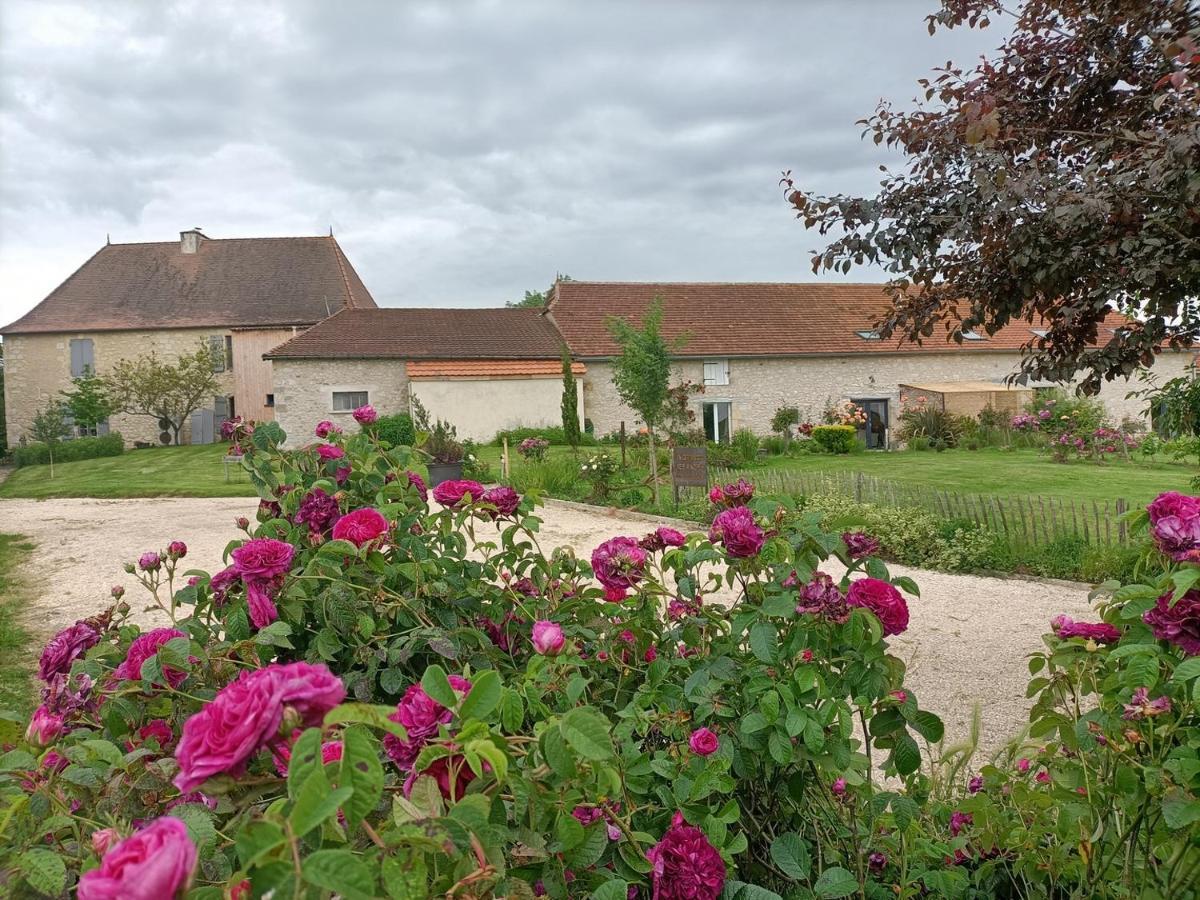 La Grange Des Anges Villa Blanc  Luaran gambar